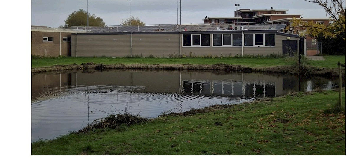 Jaarverslag 2024-2025